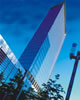 �ϰ� International Bussiness Hotel