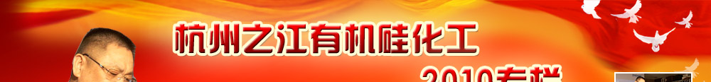 ����֮���ЙC(j��)�軯�����޹�˾2010����